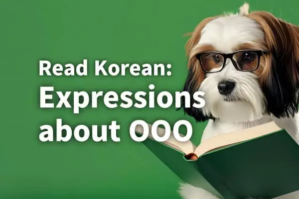 Read Korean: Expressions about OO 1 Read Korean: Expressions about OOO JAEM Free lesson image