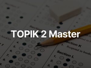 TOPIK 2 Master challenge product image