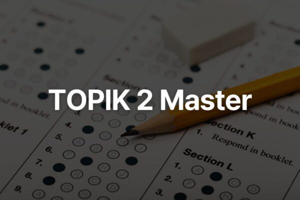 TOPIK 2 Master challenge product image