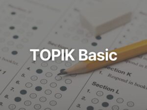 TOPIK Basic challenge product image