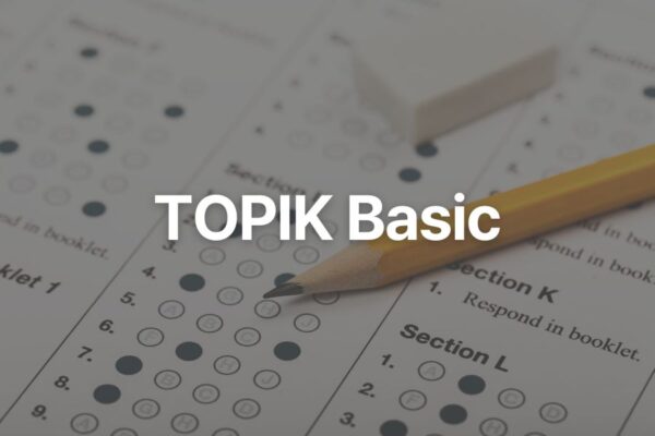 TOPIK Basic challenge product image