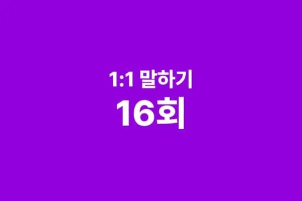 1:1 말하기 한국어 수업 16회
