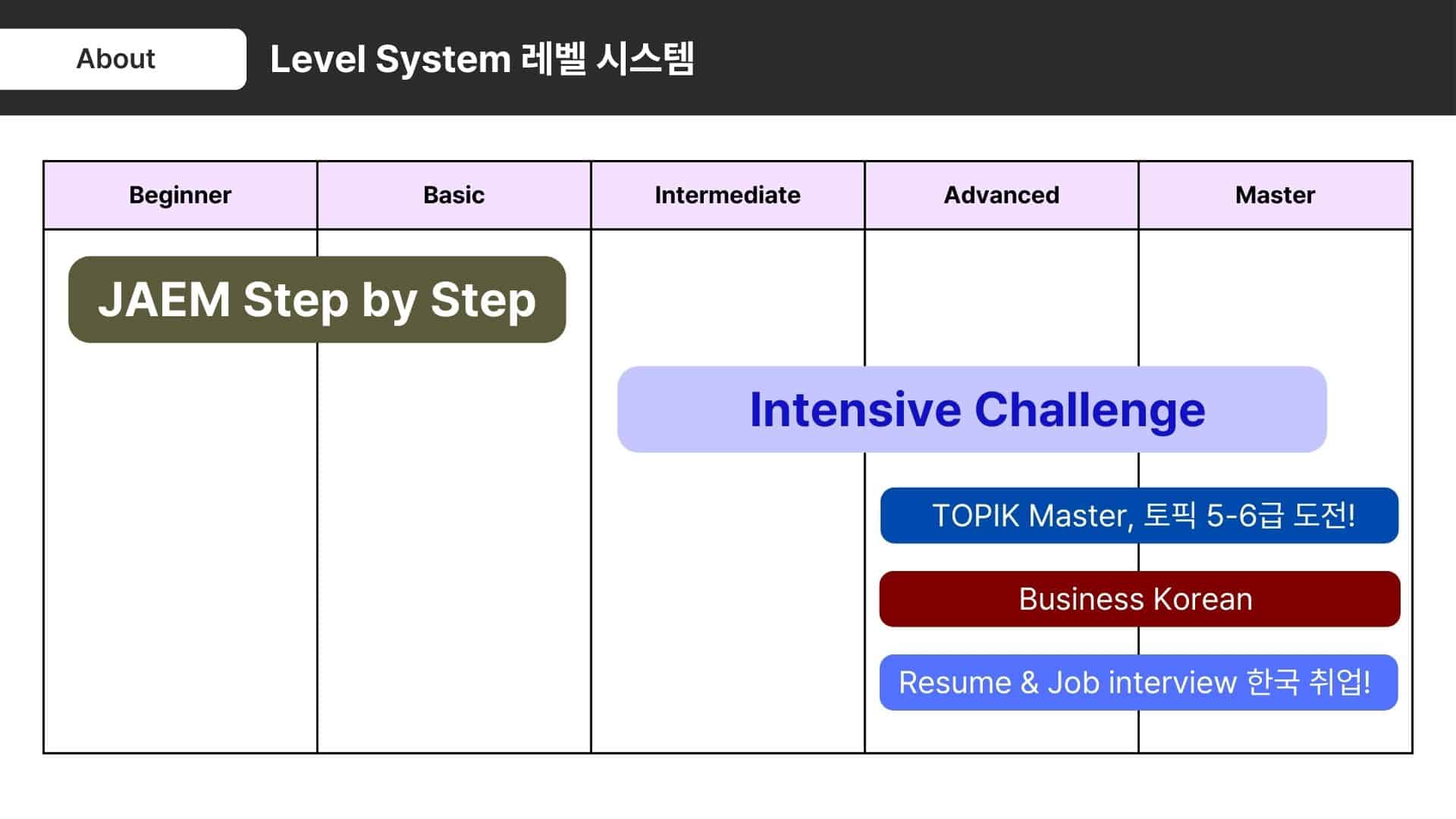 JAEM Challenge Level system