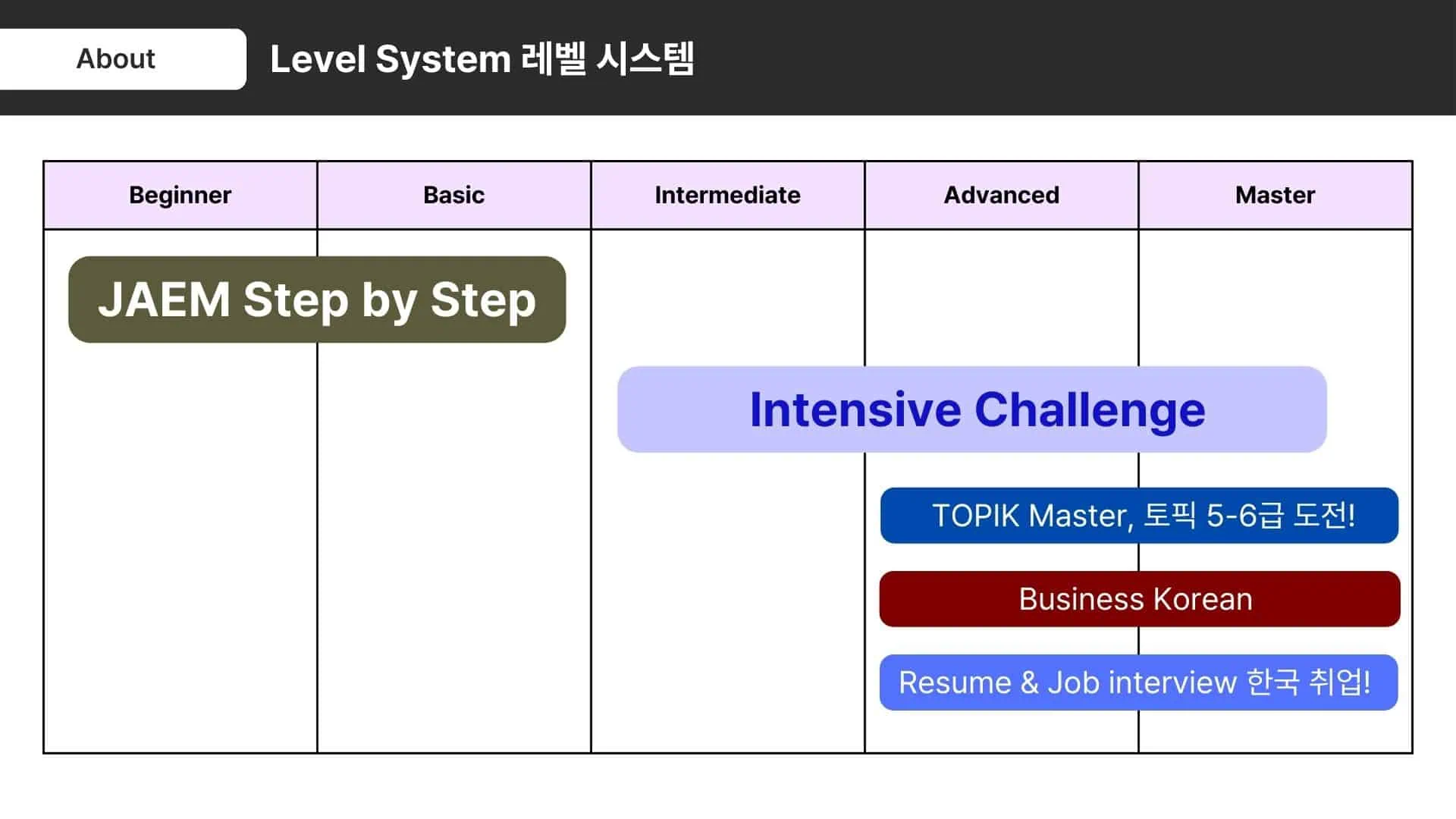 JAEM Challenge Level system