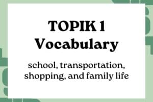 TOPIK 1 Vocabulary You Must Know for the Exam