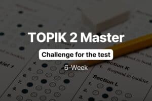 TOPIK 2 Master - challenge for the test - JAEM Korean challenge