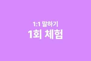 1:1 수업 1회권 - 체험