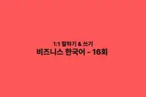 Business Korean 비즈니스 한국어 1on1 16tickets