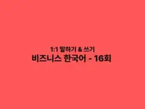 business Korean 16tickets 1on1
